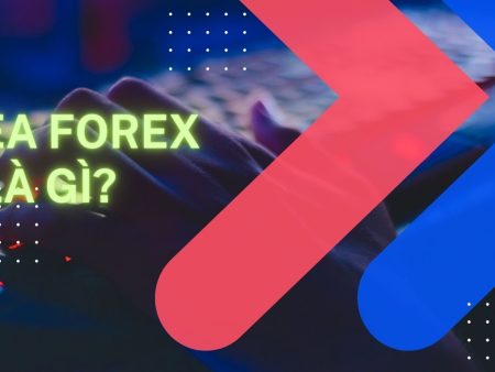 EA Forex là gì? Kinh nghiệm sử dụng Forex EA hiệu quả nhất
