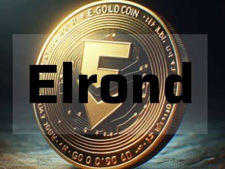 Elrond (EGLD) là gì? Thông tin chi tiết về đồng coin EGLD