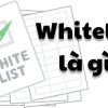 Whitelist là gì? Vai trò và tầm quan trọng Whitelist trong crypto