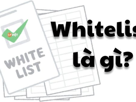 Whitelist là gì? Vai trò và tầm quan trọng Whitelist trong crypto