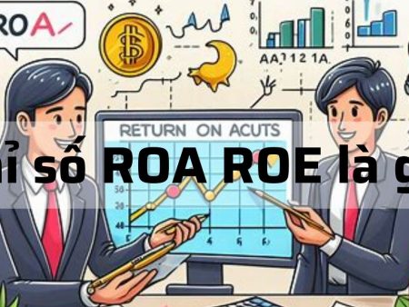 Chỉ số ROA ROE là gì? Vai trò và ý nghĩa trong đầu tư